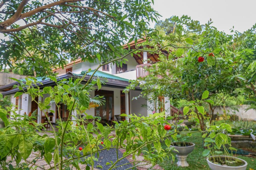 Villa Green Cottage ヒッカドゥワ エクステリア 写真