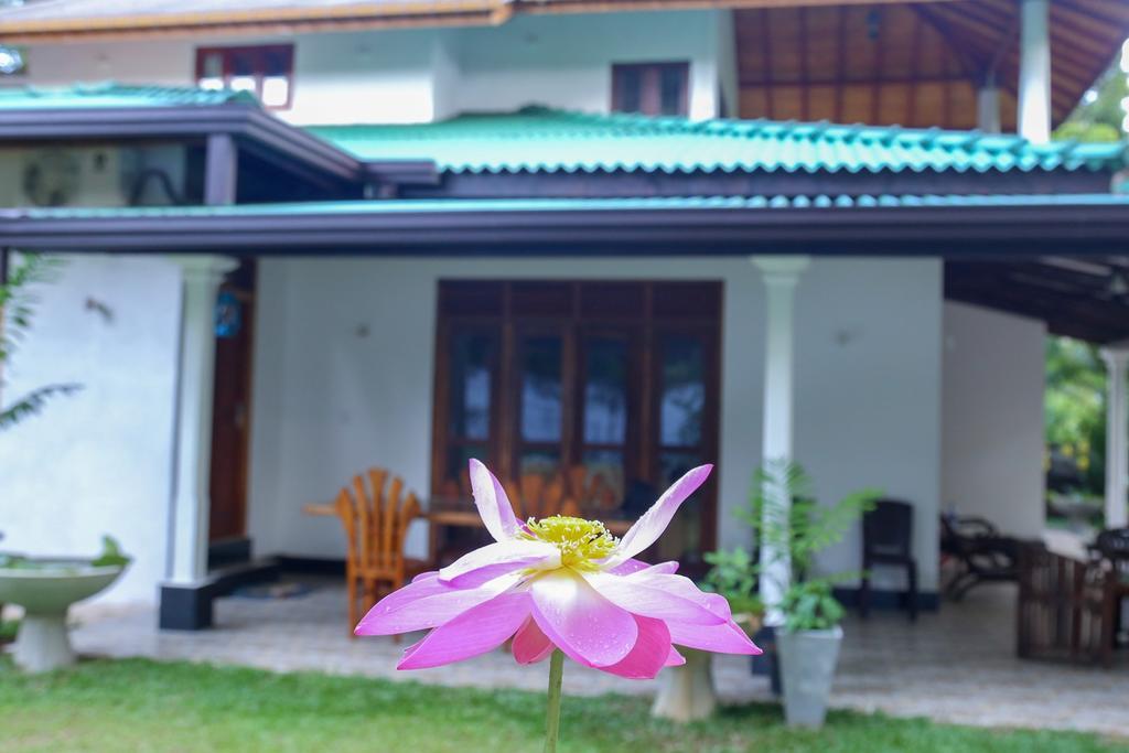 Villa Green Cottage ヒッカドゥワ エクステリア 写真
